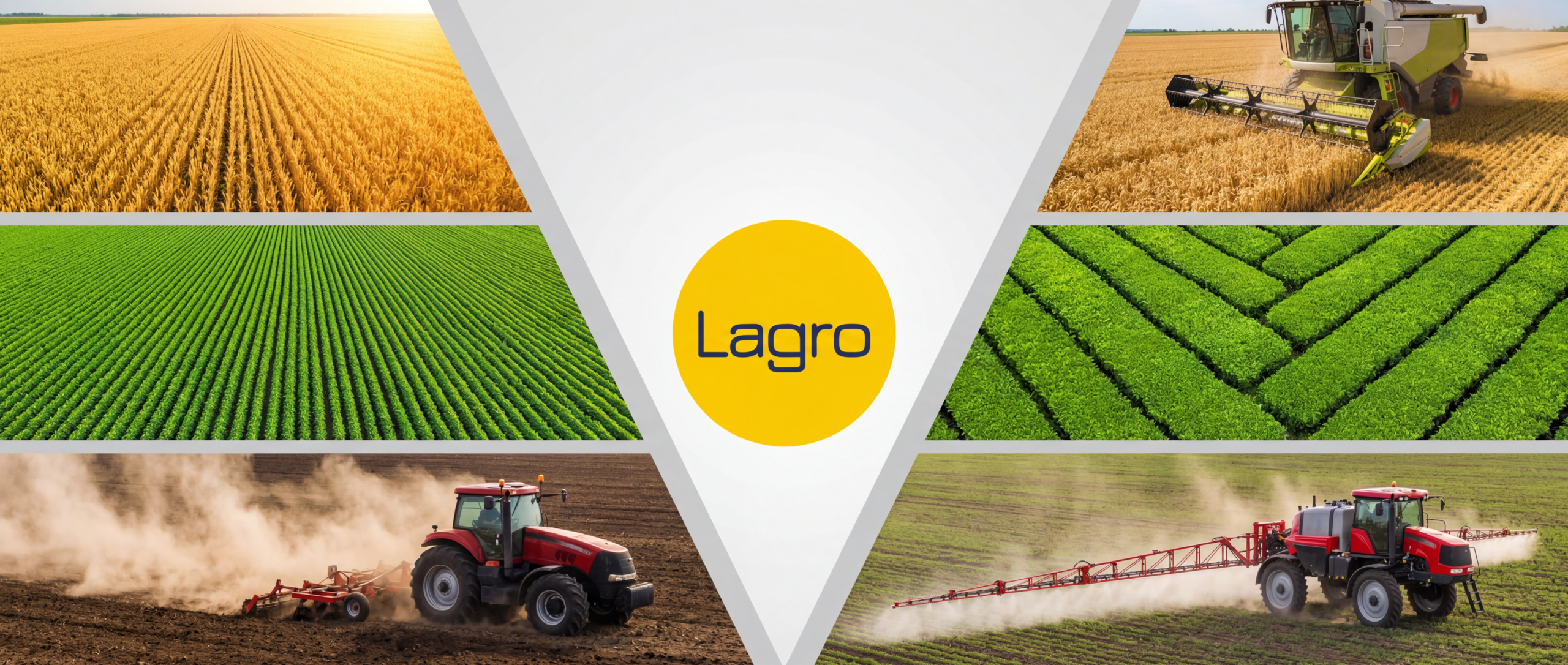 Lagro – zdjęcie firmy